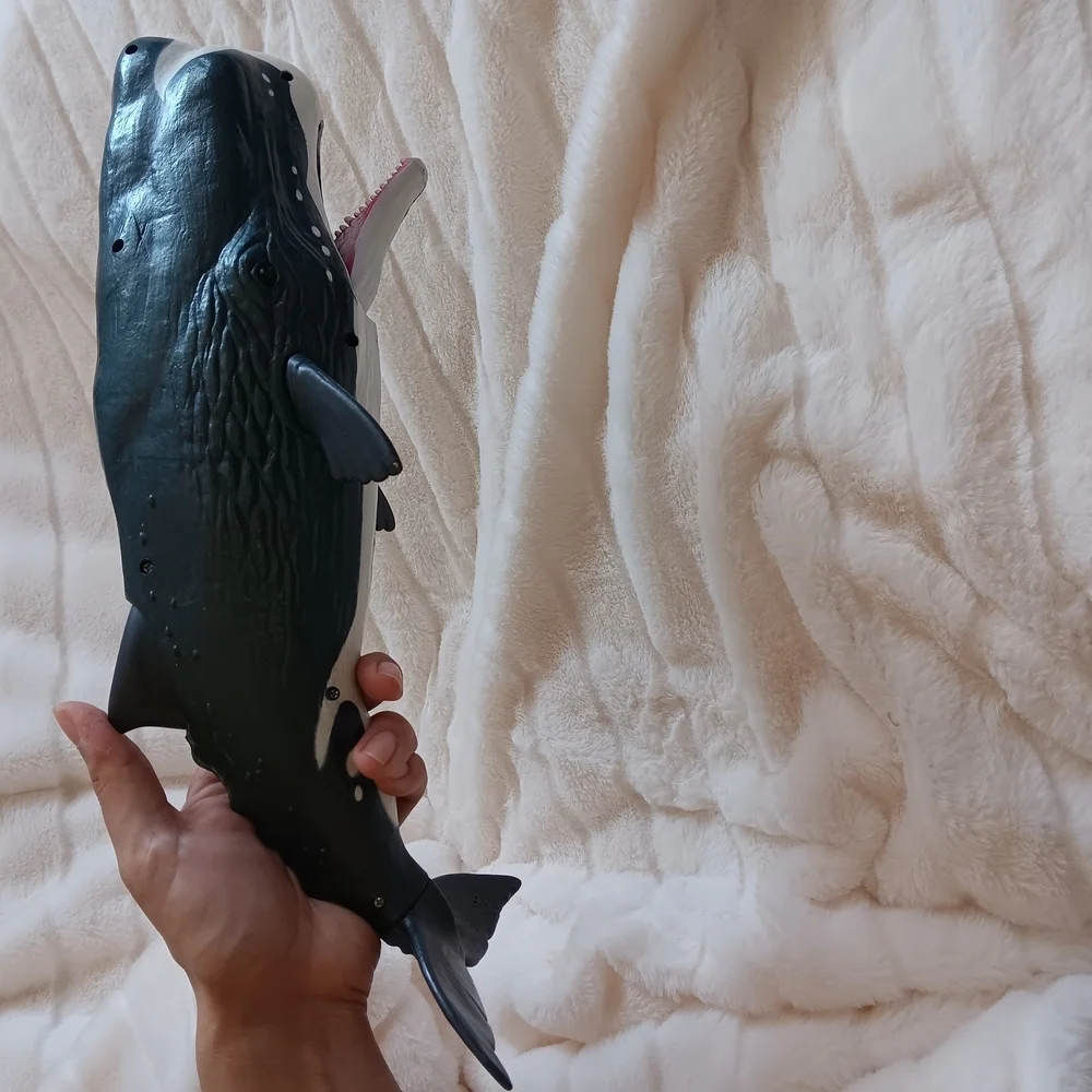 Whale big whale 14